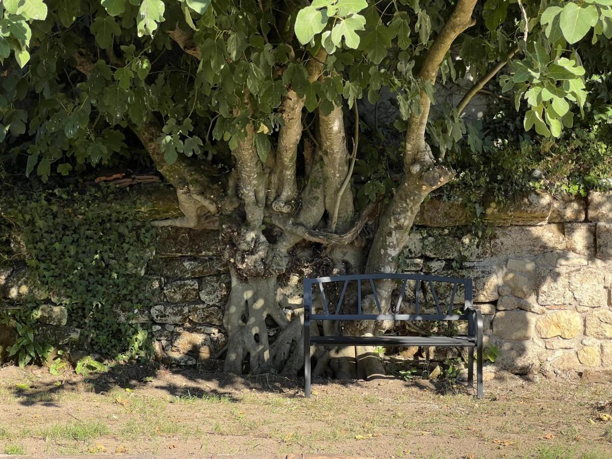 Gite Avec Piscine, Chateau De Lescours, St-Emilion Saint-Sulpice-de-Faleyrens Luaran gambar
